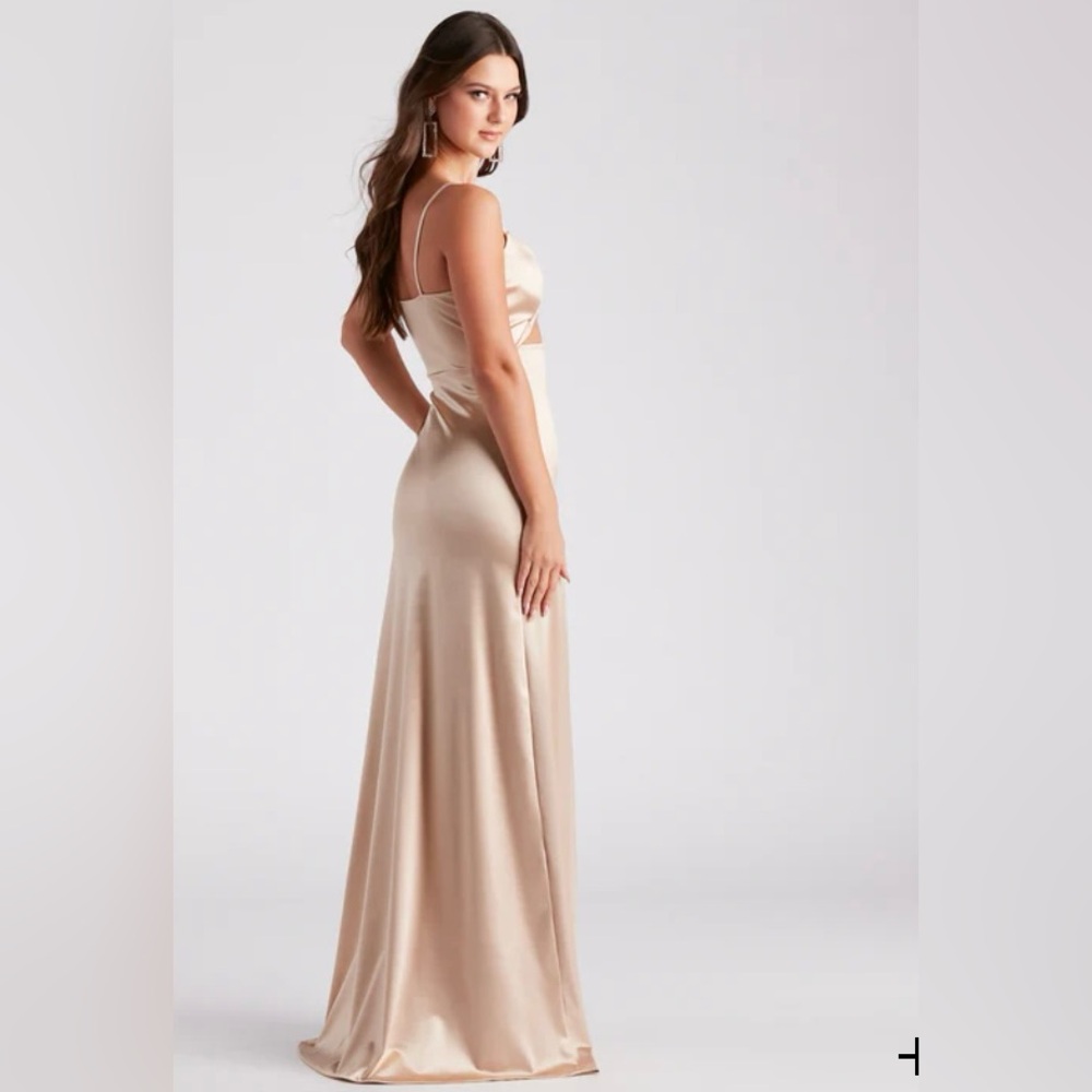Bnwt Windsor dress